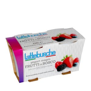 Yogurt Magro ai frutti di bosco
